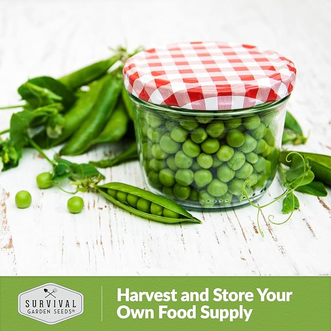 Sugar Ann Dwarf Pea Seed for Planting - 2 Packets with Instructions to Plant and Grow Sweet Snap Peas in Your Home Vegetable Garden - Non-GMO Heirloom Variety - Survival Garden Seeds