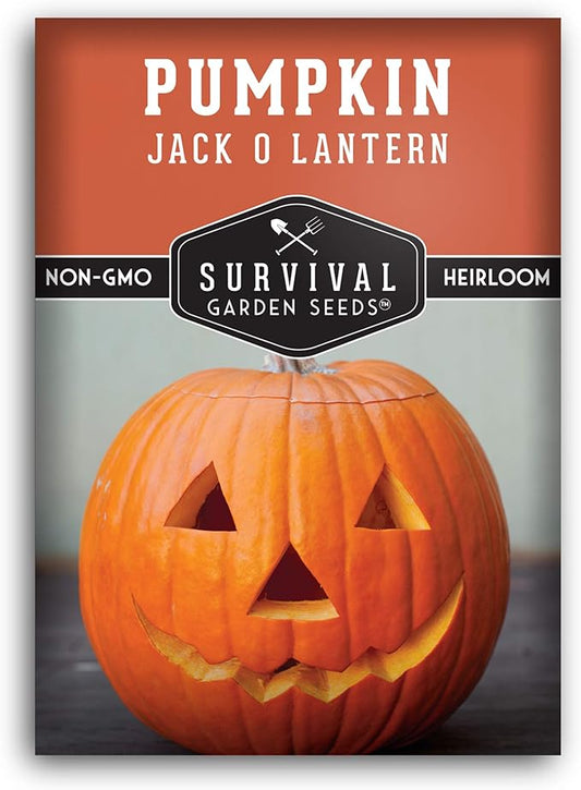 Survival Garden Seeds - Jack-O-Lantern Pumpkin Seed for Planting - Packet with Instructions to Plant and Grow Orange Carving Pumpkins in Your Home Vegetable Garden - Non-GMO Heirloom Variety