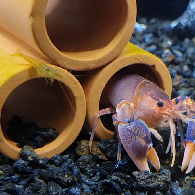 5 LB Black Lava Rocks for Plant