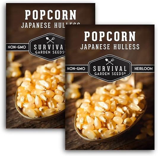 Survival Garden Seeds - Japanese Hulless Popcorn Seed for Planting - 2 Packs with Instructions to Plant and Grow Delicious Kernel Popcorn in Your Home Vegetable Garden - Non-GMO Heirloom Variety