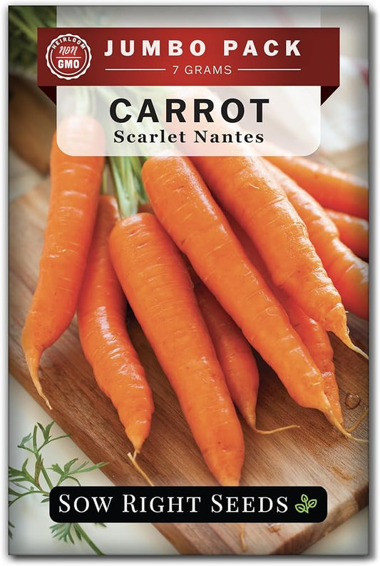 Sow Right Seeds - Bulk Scarlet Nantes Carrot Seed for Planting - 7 Grams, 4000 Seeds - Non-GMO Heirloom Jumbo Pack with Instructions to Plant a Home Vegetable Garden - Enjoy a Bountiful Harvest