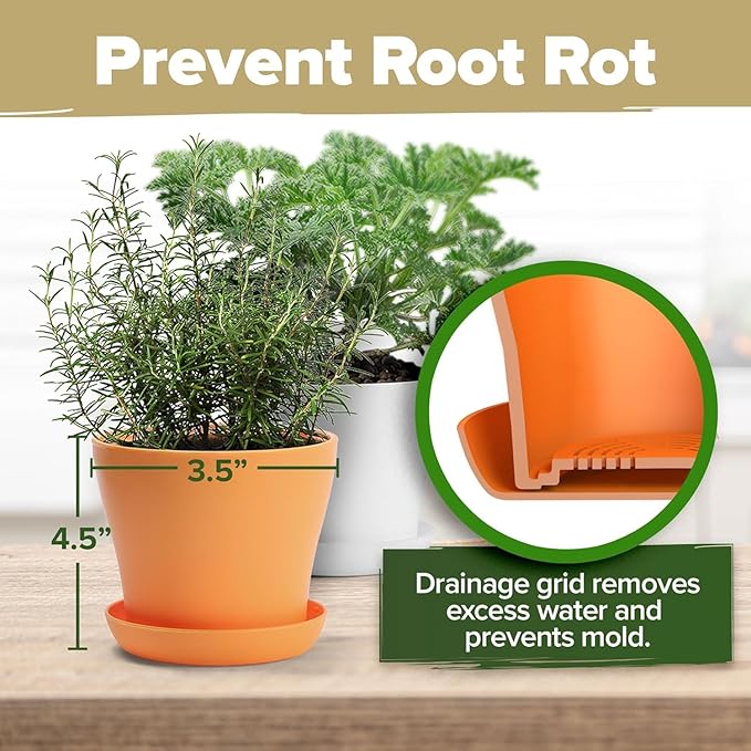 HOME GROWN 𝗣𝗥𝗘𝗠𝗜𝗨𝗠 𝗛𝗘𝗥𝗕 𝗞𝗜𝗧 8 Herb Seeds Garden Kit, Complete Indoor Planter Gift with Basil Cilantro Mint & More, Unique Kitchen Growing Set for Women Men, Birthday Housewarming Present