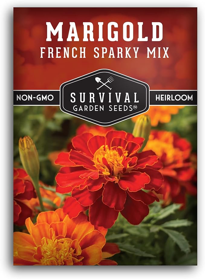 Survival Garden Seeds - French Sparky Marigold Seed for Planting - 1 Pack with Instructions to Plant and Grow Large Tagetes Patula Flowers in Your Home Vegetable Garden - Non-GMO Heirloom Variety