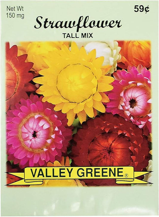 Set of Flower Seed Packets! Flower Seeds in Bulk - Great for Creating The Garden of Your Dreams! (100, Strawflower - Tall Mix)
