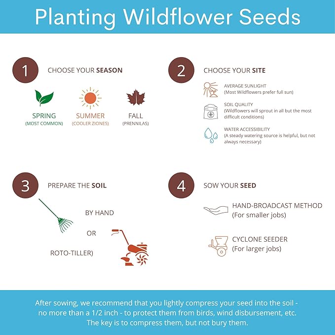 65,000+ Seeds - Bird & Butterfly Wildflower Pollinator Mix - Perennial & Annual Wild Flowers for Spring & Fall - Planting Outdoors for Hummingbirds & More - Calendula, Yarrow, Poppy, Baby's Breath