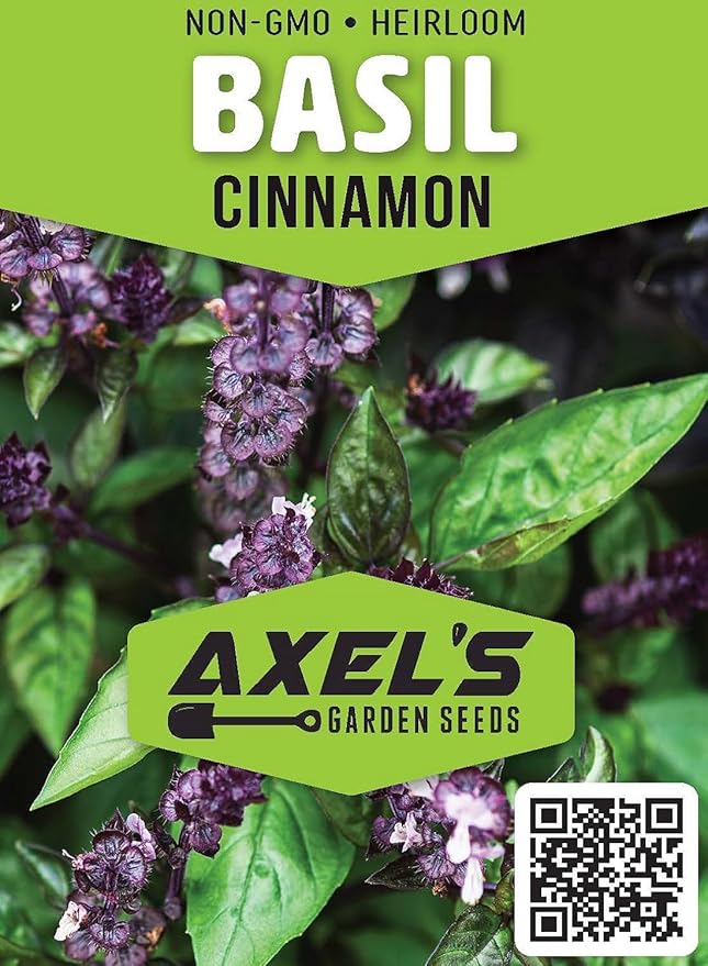 Cinnamon Basil Seeds for Planting Heirloom Non GMO Packets 750 Seeds – Plant & Grow Cinnamon Basil Indoor Hydroponics or Outdoor Gardening, Great Gardening Gift – 1 Packet, Purple