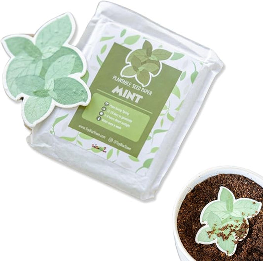 10 Pcs Plantable Seed Paper - Seed Paper Favors | Flower Seed Paper for Gardening, Crafting, Birthdays, Wedding Anniversaries | Indoor Flower Plantable Seeded Paper | Plantable Mini Seed Papers Set