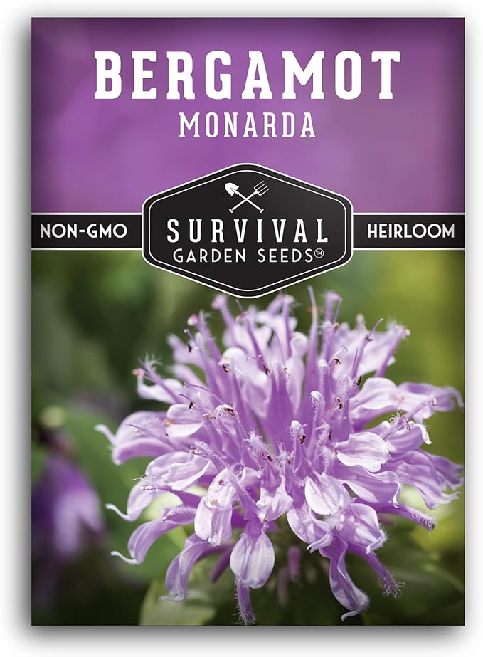 Survival Garden Seeds - Bergamot Herb (Bee Balm) Seed for Planting - Packet with Instructions to Plant and Grow Lavender Monarda Wildflowers in Your Home Vegetable Garden - Non-GMO Heirloom Variety