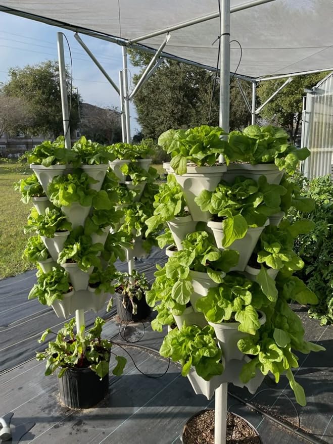 Enhanced Perlite Mix, Soil Amendment That Promotes Robust Growth with Diatomaceous Earth & Essential Nutrients for Plants, Transplanting, Garden Beds and Seedlings (8 QT)