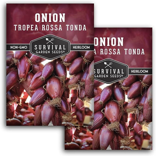 Tropea Rossa Tonda Onion Seeds for Planting - 2 Packets with Instructions to Plant and Grow Italian Long Day Onions in Your Home Vegetable Garden - Non-GMO Heirloom Variety - Survival Garden Seeds