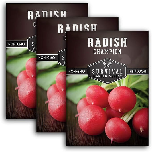 Survival Garden Seeds - Champion Radish Seed for Planting - 3 Packets with Instructions to Plant & Grow Red Radishes in Your Home Vegetable Garden - Non-GMO Heirloom Variety Vegetable Seed