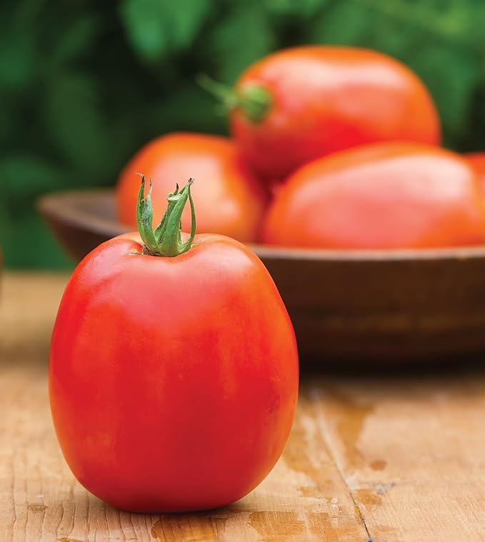 Burpee Exclusive 'SuperSauce' Hybrid, 25 Non-GMO Large Red Sauce & Paste Tomato Variety, Vegetable Seeds for Planting Home Garden