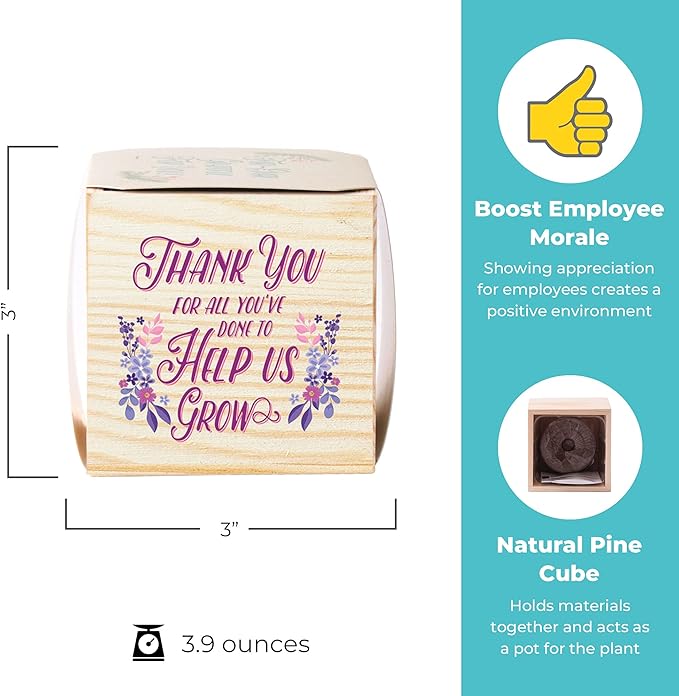 Cheersville! Desk Plant for Home or Office Decor - Growing Kit - Appreciation Plant Cube - Parent (Thank You for Helping Us Grow - 3 Pack)
