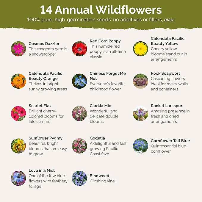 Eden Brothers Fairytale Flower Mixed Seeds for Planting, 1 lb, 480,000+ Seeds with Calendula, Cosmos Dazzler, Cornflower | Attracts Pollinators, Plant in Spring or Fall, Zones 3, 4, 5, 6, 7, 8, 9, 10