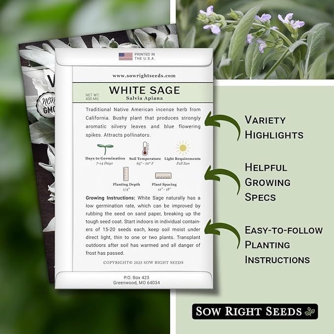Sow Right Seeds - White Sage Seed for Planting - Non-GMO Heirloom Packet with Instructions for Planting and Growing a Home Herb Garden - Indoors or Outdoors - Make Your Own Herbal Incense (4)