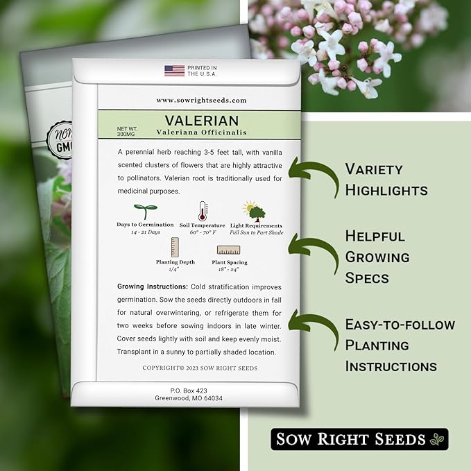Sow Right Seeds - Valerian Seeds for Planting - Non-GMO Heirloom Packet with Instructions to Plant an Outdoor Herb Garden - Fragrant with Medicinal Benefits - Valerian Root for Sleep & Calm (2)