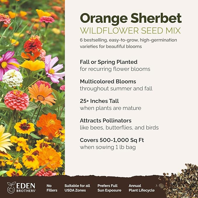 Eden Brothers Orange Sherbet Flower Mixed Seeds for Planting, 1 lb, 480,000+ Seeds with Cosmos Picotee, Bright Lights | Attracts Pollinators, Plant in Spring or Fall, Zones 3, 4, 5, 6, 7, 8, 9, 10