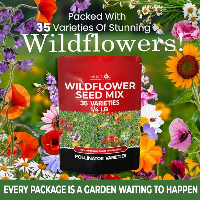 NatureZ Edge Wildflower Seeds Mix – 1/4 lb, 170,000 Seeds, 35 Variety Perennial & Annual Flower Seeds to Plant Outside, Bulk Wildflower Seeds, Wild Flower, Semillas de Flores