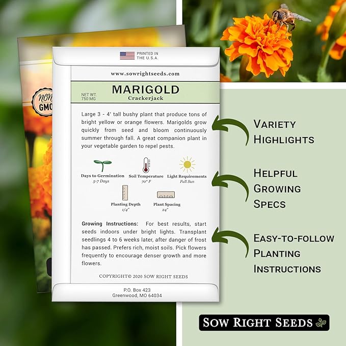 Sow Right Seeds Crackerjack African Marigold Seeds for Planting - Non-GMO Heirloom Seed Packet with Instructions - Companion Plant - Orange & Yellow Blooms Attract Pollinators, Deter Mosquitoes (1)