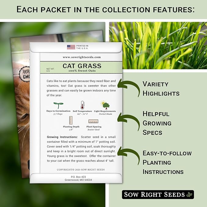 Sow Right Seeds - Catnip and Cat Grass Seed Collection for Planting Indoors or Outdoors - Includes Popular Herb Catnip and Cat Grass (100% Sweet Oat Grass) - Non-GMO Heirloom Packet - Pet Friendly
