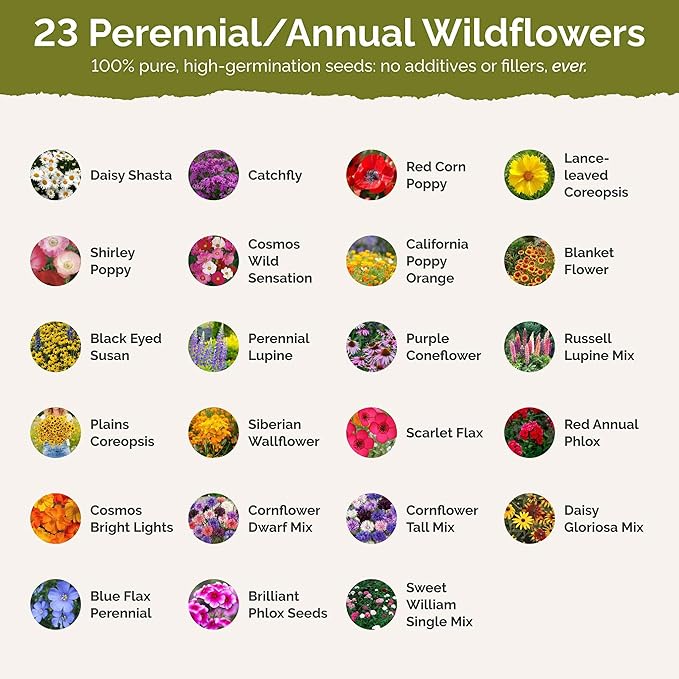 Eden Brothers Maine Wildflower Mixed Seeds for Planting, 1/4 lb, 120,000+ Seeds with Lupine, Cornflower | Attracts Pollinators, Plant in Spring or Fall, Zones