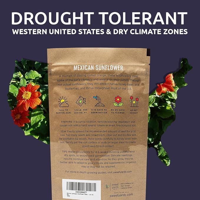 Mexican Sunflower Seeds – Bulk Quarter Pound Bag – Over 10,000 Open Pollinated Non-GMO Wildflower Seeds – Tithonia rotundifolia