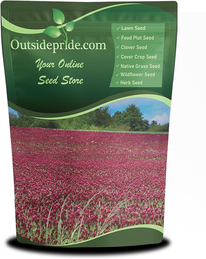 Outsidepride Crimson Clover Seeds - 1/4 lbs. Annual, Nitrocoated, & Inoculated Ground Cover Seeds, Ideal Clover Seed for Lawn, Cover Crop, Pasture, Hay, Green Manure & Wildlife Forage