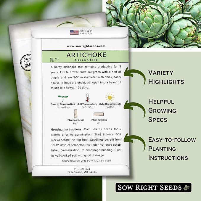 Sow Right Seeds - Artichoke Green Globe Seeds for Planting - Non-GMO Heirloom Packet with Instructions to Plant and Grow an Outdoor Home Vegetable Garden - Perennial - Tall with Edible Flower Buds (3)