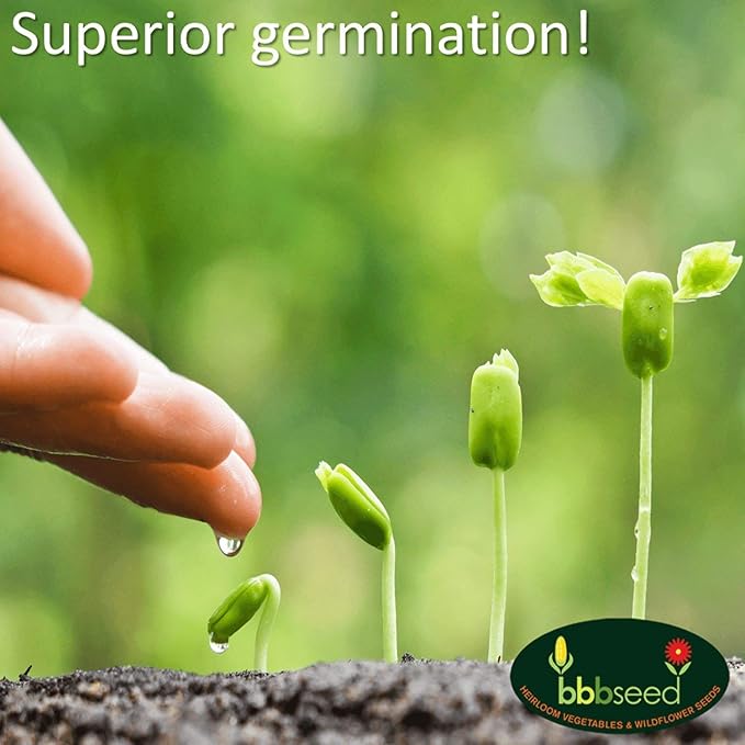 Drought Tolerant Wildflower Seeds - 4oz, Open-Pollinated Bulk Flower Seed Mix for Beautiful Perennial, Annual Garden Flowers - No Fillers - 4 oz Packet