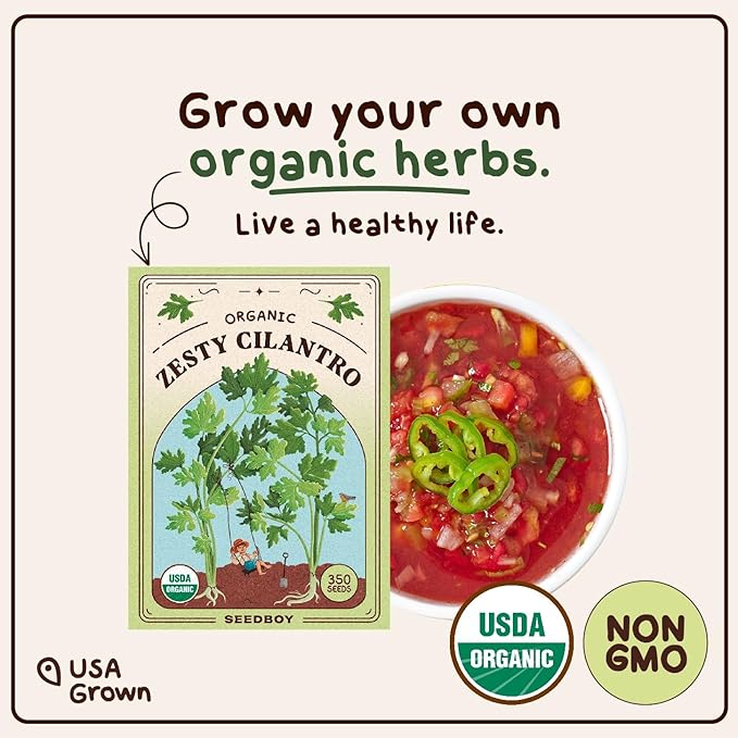 Organic Cilantro 'Slow Bolt' Herb Seeds for Indoor Gardening or Planting Outdoors, Non-GMO and USDA Certified Herb Seed Packets, 350 Seeds/5 Grams (Cilantro)