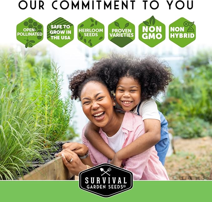 Survival Garden Seeds Selfheal Seed for Planting - 2 Packs with Instructions to Plant & Grow All-Heal Perennial Herb Plants in Your Home Flower & Herb Garden - Non-GMO Heirloom Variety