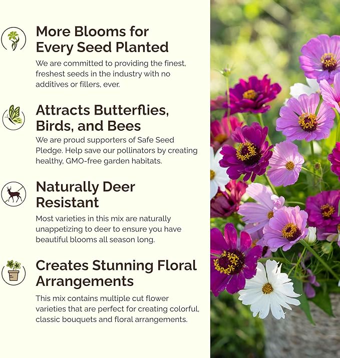 Eden Brothers Purple Rain Flower Mixed Seeds for Planting, 1 lb, 480,000+ Seeds with Zinnia Purple Prince & Violet Queen, Cosmos | Attracts Pollinators, Plant in Spring, Zones 3, 4, 5, 6, 7, 8, 9, 10
