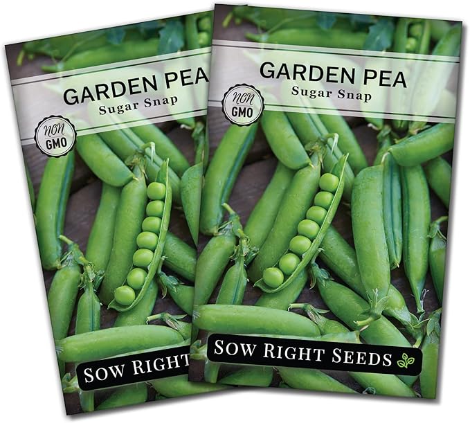 Sow Right Seeds - Sugar Snap Pea Seeds for Planting - Non-GMO Heirloom Packet with Instructions to Plant a Home Vegetable Garden - Grow Tons of Delicious Pods - Cool Season Crop, Super Productive (2)