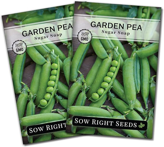 Sow Right Seeds - Sugar Snap Pea Seeds for Planting - Non-GMO Heirloom Packet with Instructions to Plant a Home Vegetable Garden - Grow Tons of Delicious Pods - Cool Season Crop, Super Productive (2)