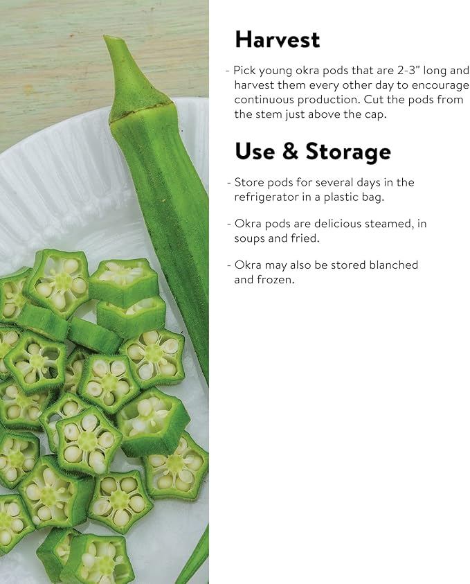 Burpee Baby Bubba Okra Seeds 60 seeds