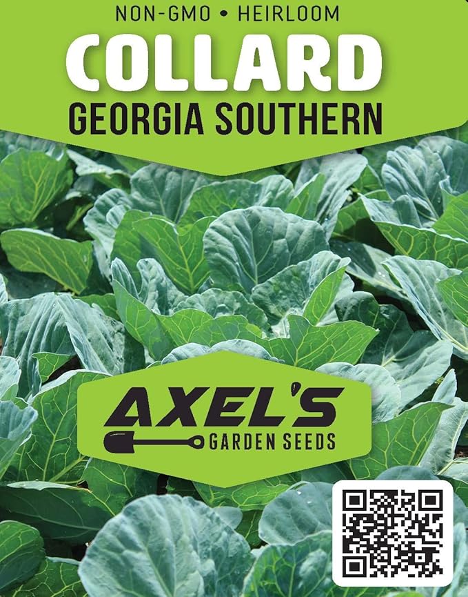 Collard Green Seeds for Planting - Plant & Grow Georgia Southern Collards - Full Planting Instructions to Plant a Home Outdoor Vegetable Garden - Great Gardening Gift, 2 Packets