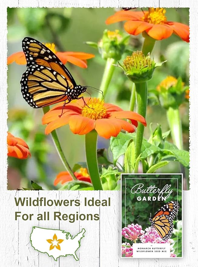 American Meadows Wildflower Seed Packets ''Butterfly Garden'' Favors (Pack of 20) - Pollinator Wildflower Seed Mix to Attract Hummingbirds, Bees, and Butterflies, Party Favors for Any Occasion