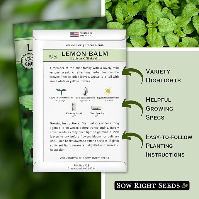 Sow Right Seeds - Lemon Balm Seeds for Planting - Non-GMO Heirloom Packet With Instructions - Easy to Grow Herb Garden - Aromatic Medicinal Herb and Great for Herbal Teas - Perennial Mint Relative (3)