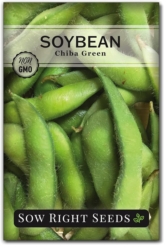 Sow Right Seeds - Chiba Green Soybean Seeds for Planting - Non-GMO Heirloom Packet with Instructions to Plant Vegetable Garden - Old Fashioned Bush Variety for Edamame - Wonderful Gardening Gift (1)