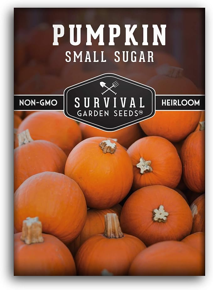 Survival Garden Seeds - Small Sugar Pumpkin Seeds for Planting – 1 Packet with Instructions to Grow Pie Pumpkins in Your Home Vegetable Garden – Non-GMO Heirloom Variety