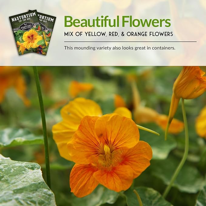 Survival Garden Seeds - Tip Top Mix Nasturtium Seed for Planting - 1 Pack with Instructions to Plant and Grow Edible Flowers & Companion Plants in Your Home Vegetable Garden - Non-GMO Heirloom Variety