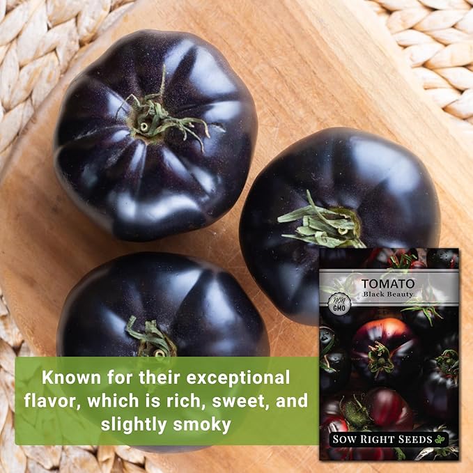 Sow Right Seeds - Black Beauty Tomato Seeds for Planting - Non-GMO Heirloom Packet with Instructions to Plant an Outdoor Home Vegetable Garden - Rare Deep Purple Slicing Variety - Sweet Flavor (1)