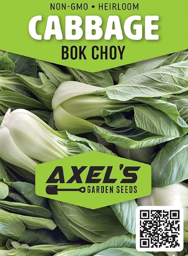 Cabbage Seeds for Planting – Non-GMO Heirloom Vegetable Seeds – Full Instruction Packets to Plant in Your Home Outdoor Garden – Gardening Gift – 200 Bok Choy Cabbage Seeds Per Pack (3 Packets)