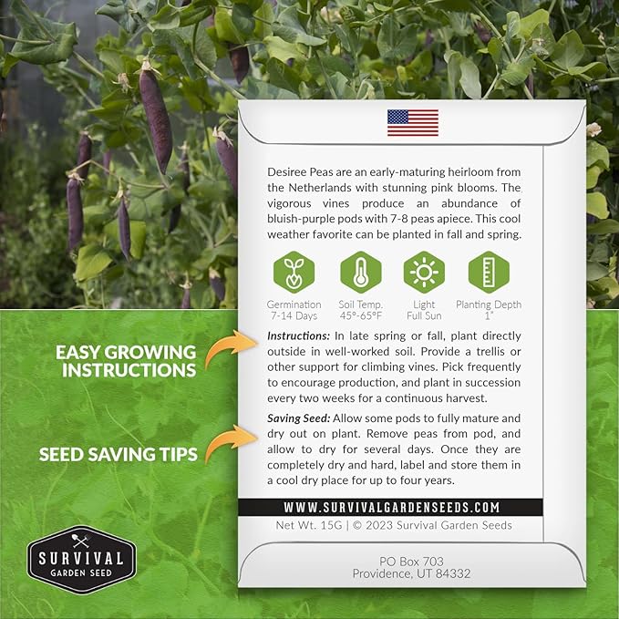 Desiree Pea Seed for Planting - 2 Packets with Instructions to Plant and Grow Delicious Purple-Podded Snap Peas in Your Home Vegetable Garden - Non-GMO Heirloom Variety - Survival Garden Seeds