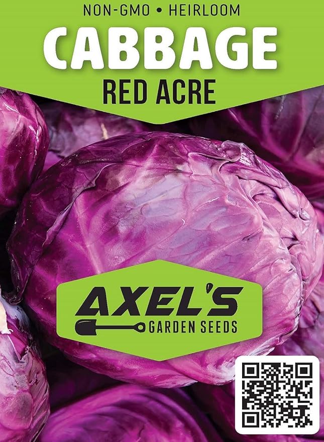 Cabbage Seeds for Planting - Plant & Grow Red Acre Cabbage in Your Home Outdoor Vegetable Garden - Heirloom Non GMO Planting Packets with Full Instructions - Great Gardening Gift, 2 Packets