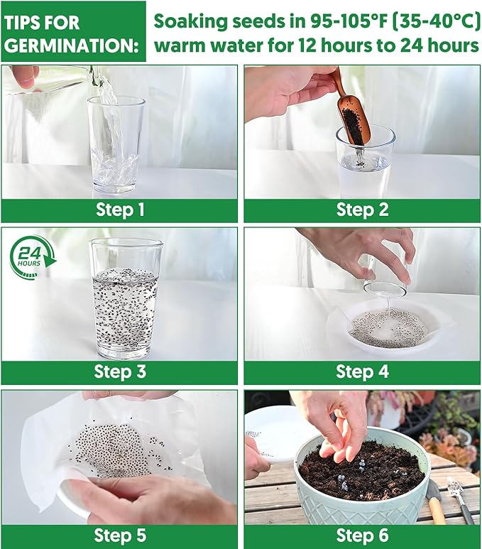 12 Varieties of Seasoning Seeds for Planting, Family Culinary Spice Herb & Veggie Seeds Packet, Basil, Rosemary, Thyme, Cilantro, Pepper, Mint, Non-GMO, Heirloom, for Home Garden Indoor Outdoor