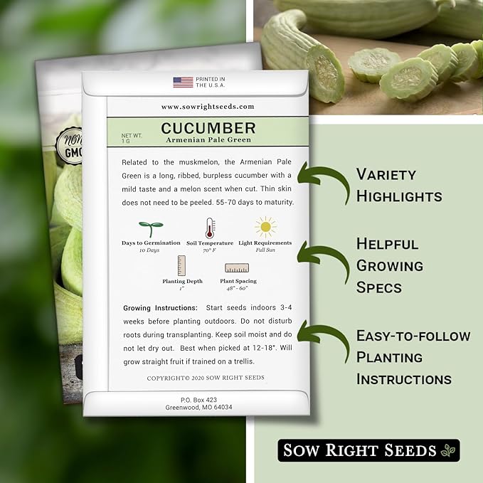 Sow Right Seeds - Armenian Pale Green Cucumber Seeds for Planting - Non-GMO Heirloom Packet with Instructions to Plant and Grow a Home Vegetable Garden - Yard Long Variety for Outdoors (3)