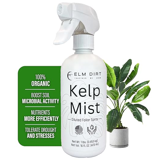 Elm Dirt Kelp Mist 100% Organic Plant Spray - Foliar Spray for Plants Food Indoor House Plants & Outdoor Plant food | Help Plant Nutrients Efficiently & Boost Soil Activity - Kelp Foliar Spray (16 oz)