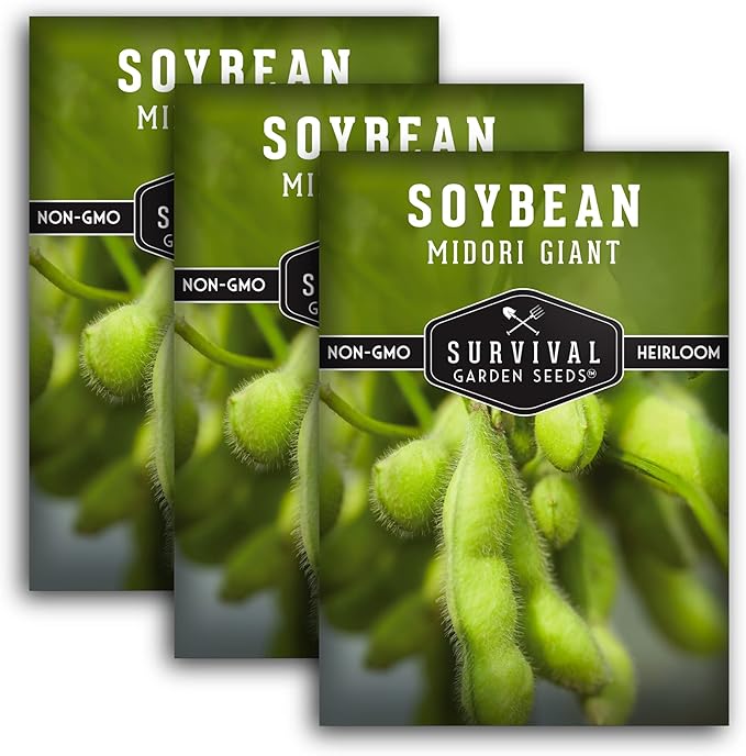 Survival Garden Seeds - Midori Giant Soybean Seed for Planting - 3 Packs with Instructions to Plant and Grow Protein-Rich Edamame Pods in Your Home Vegetable Garden - Non-GMO Heirloom Variety
