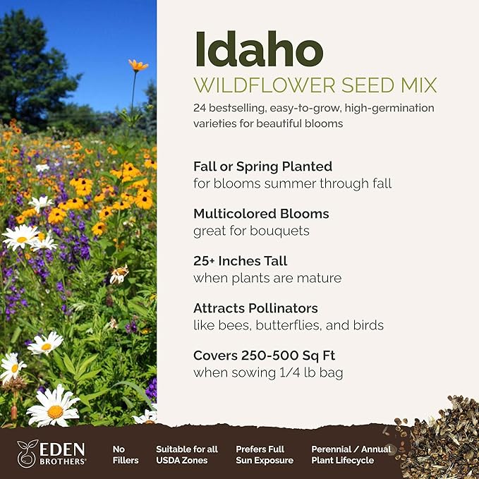 Eden Brothers Idaho Wildflower Mixed Seeds for Planting, 1/4 lb, 120,000+ Seeds with Foxglove, Cosmos | Attracts Pollinators, Plant in Spring or Fall, Zones